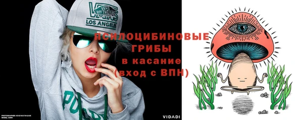 PSILOCYBIN Абдулино
