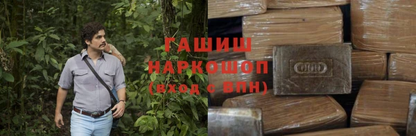 PSILOCYBIN Абдулино