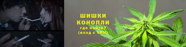 PSILOCYBIN Абдулино
