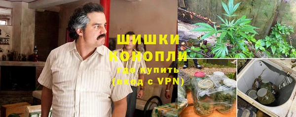 PSILOCYBIN Абдулино