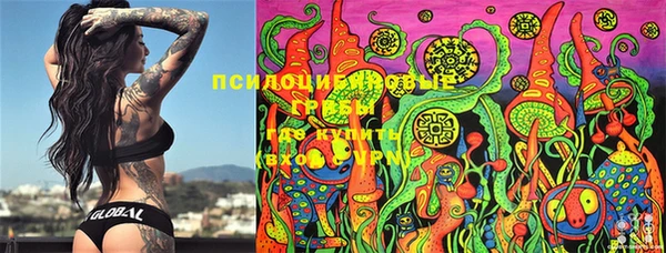 PSILOCYBIN Абдулино