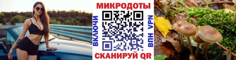 Псилоцибиновые грибы прущие грибы  наркота  Духовщина 